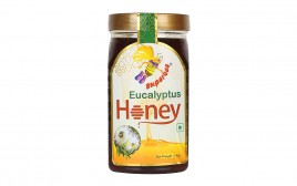 Superbee Eucalyptus Honey   Plastic Jar  1 kilogram